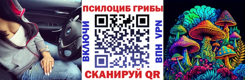 Псилоцибиновые грибы Cubensis  Чудово 
